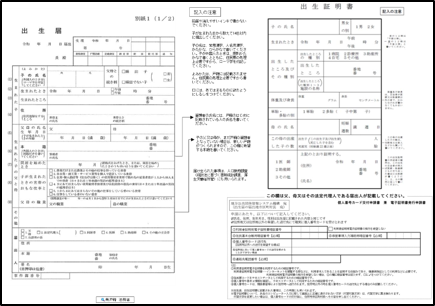 Birth Registration and Individual Number Card Dual Application Form (for printing)