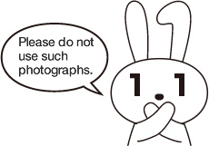 Please do not use such photographs.
